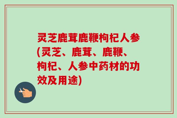 灵芝鹿茸鹿鞭枸杞人参(灵芝、鹿茸、鹿鞭、枸杞、人参中药材的功效及用途)-第1张图片-卓越灵芝孢子粉