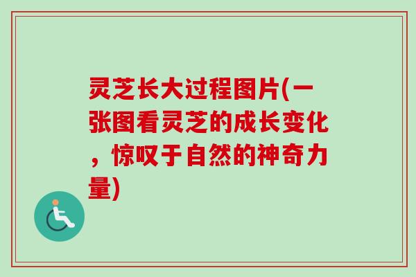 灵芝长大过程图片(一张图看灵芝的成长变化，惊叹于自然的神奇力量)-第1张图片-卓越灵芝孢子粉