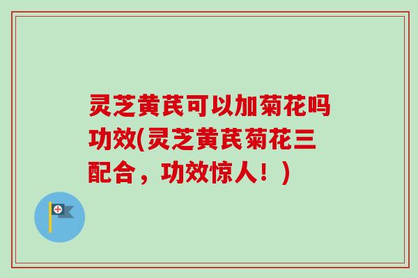 灵芝黄芪可以加菊花吗功效(灵芝黄芪菊花三配合，功效惊人！)-第1张图片-卓越灵芝孢子粉