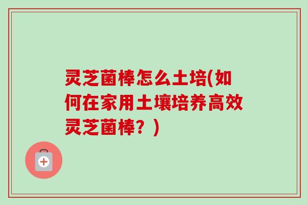 灵芝菌棒怎么土培(如何在家用土壤培养高效灵芝菌棒?)-第1张图片-卓越灵芝孢子粉 灵芝菌棒怎么土培(如何在家用土壤培养高效灵芝菌棒?)-第1张图片-卓越灵芝孢子粉