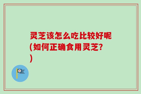 灵芝该怎么吃比较好呢(如何正确食用灵芝?)-第1张图片-卓越灵芝孢子粉 灵芝该怎么吃比较好呢(如何正确食用灵芝?)-第1张图片-卓越灵芝孢子粉