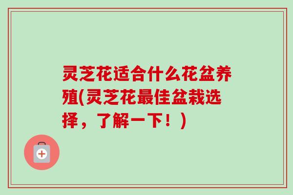 灵芝花适合什么花盆养殖(灵芝花最佳盆栽选择,了解一下!)-第1张图片-卓越灵芝孢子粉 灵芝花适合什么花盆养殖(灵芝花最佳盆栽选择,了解一下!)-第1张图片-卓越灵芝孢子粉