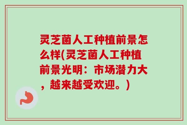 灵芝菌人工种植前景怎么样(灵芝菌人工种植前景光明:市场潜力大,越来越受欢迎。)-第1张图片-卓越灵芝孢子粉 灵芝菌人工种植前景怎么样(灵芝菌人工种植前景光明:市场潜力大,越来越受欢迎。)-第1张图片-卓越灵芝孢子粉