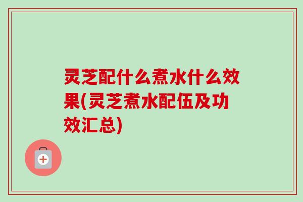 灵芝配什么煮水什么效果(灵芝煮水配伍及功效汇总)-第1张图片-卓越灵芝孢子粉 灵芝配什么煮水什么效果(灵芝煮水配伍及功效汇总)-第1张图片-卓越灵芝孢子粉