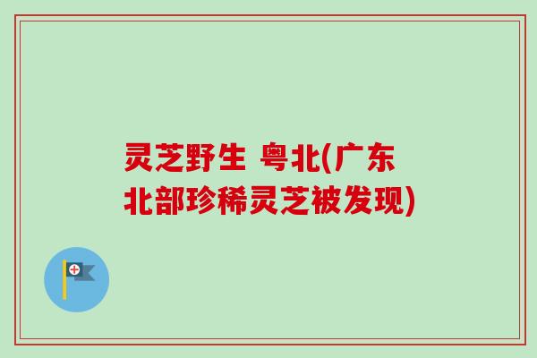 灵芝野生 粤北(广东北部珍稀灵芝被发现)-第1张图片-卓越灵芝孢子粉 灵芝野生 粤北(广东北部珍稀灵芝被发现)-第1张图片-卓越灵芝孢子粉