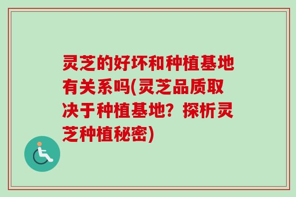 灵芝的好坏和种植基地有关系吗(灵芝品质取决于种植基地?探析灵芝种植秘密)-第1张图片-卓越灵芝孢子粉 灵芝的好坏和种植基地有关系吗(灵芝品质取决于种植基地?探析灵芝种植秘密)-第1张图片-卓越灵芝孢子粉