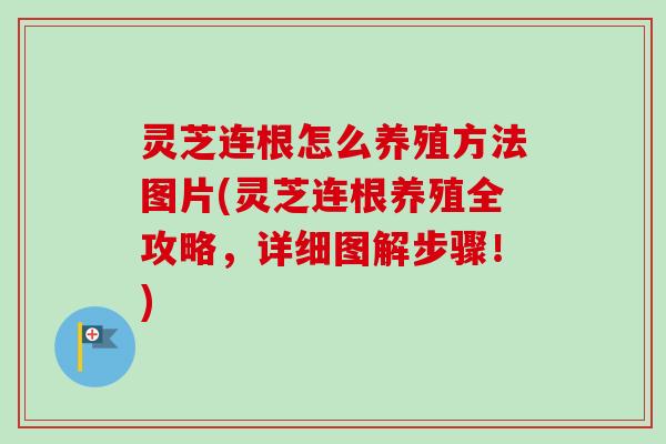 灵芝连根怎么养殖方法图片(灵芝连根养殖全攻略,详细图解步骤!)-第1张图片-卓越灵芝孢子粉 灵芝连根怎么养殖方法图片(灵芝连根养殖全攻略,详细图解步骤!)-第1张图片-卓越灵芝孢子粉