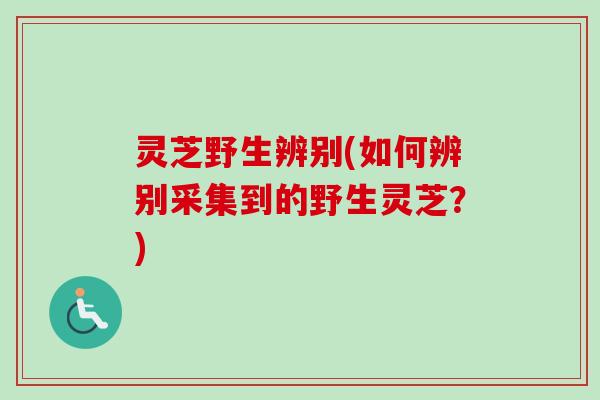 灵芝野生辨别(如何辨别采集到的野生灵芝?)-第1张图片-卓越灵芝孢子粉 灵芝野生辨别(如何辨别采集到的野生灵芝?)-第1张图片-卓越灵芝孢子粉