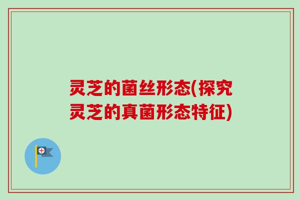 灵芝的菌丝形态(探究灵芝的真菌形态特征)-第1张图片-卓越灵芝孢子粉