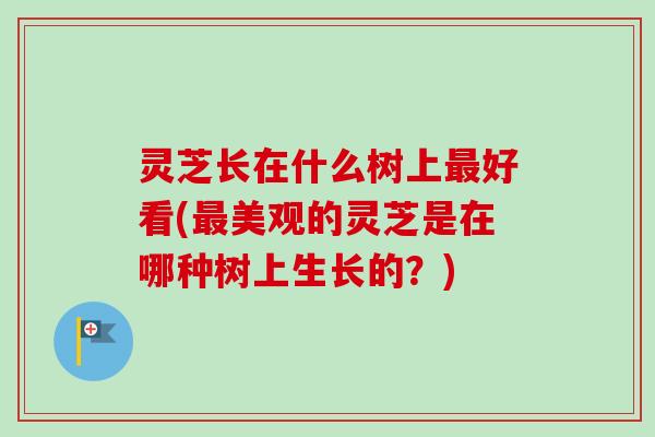灵芝长在什么树上最好看(最美观的灵芝是在哪种树上生长的？)-第1张图片-卓越灵芝孢子粉
