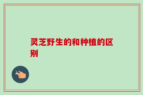 灵芝野生的和种植的区别-第1张图片-卓越灵芝孢子粉
