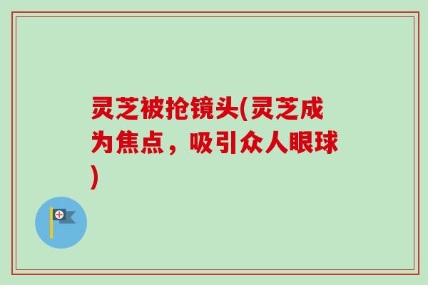 灵芝被抢镜头(灵芝成为焦点，吸引众人眼球)-第1张图片-卓越灵芝孢子粉