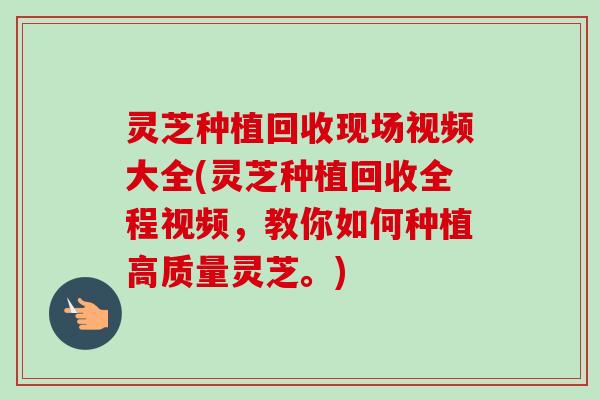 灵芝种植回收现场视频大全(灵芝种植回收全程视频,教你如何种植高质量灵芝。)-第1张图片-卓越灵芝孢子粉 灵芝种植回收现场视频大全(灵芝种植回收全程视频,教你如何种植高质量灵芝。)-第1张图片-卓越灵芝孢子粉