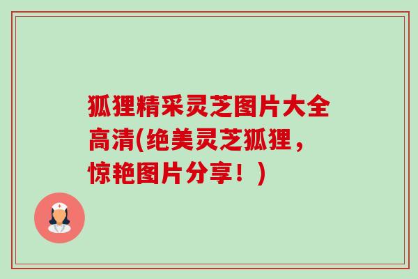 狐狸精采灵芝图片大全高清(绝美灵芝狐狸，惊艳图片分享！)-第1张图片-卓越灵芝孢子粉