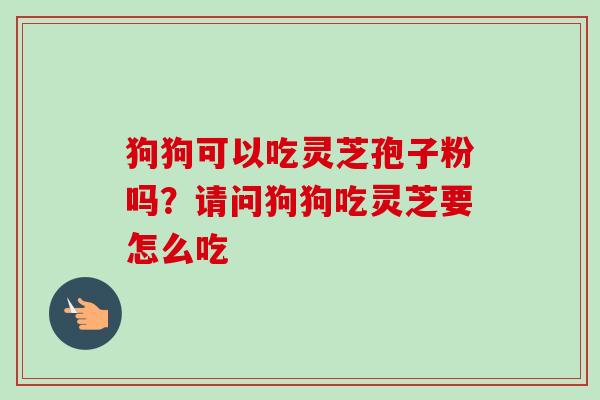 狗狗可以吃灵芝孢子粉吗?请问狗狗吃灵芝要怎么吃-第1张图片-卓越灵芝孢子粉 狗狗可以吃灵芝孢子粉吗?请问狗狗吃灵芝要怎么吃-第1张图片-卓越灵芝孢子粉