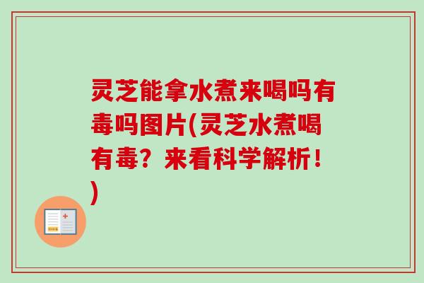 灵芝能拿水煮来喝吗有毒吗图片(灵芝水煮喝有毒？来看科学解析！)-第1张图片-卓越灵芝孢子粉