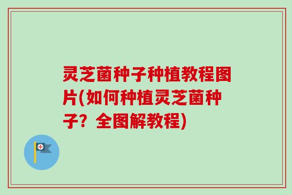 灵芝菌种子种植教程图片(如何种植灵芝菌种子?全图解教程)-第1张图片-卓越灵芝孢子粉 灵芝菌种子种植教程图片(如何种植灵芝菌种子?全图解教程)-第1张图片-卓越灵芝孢子粉