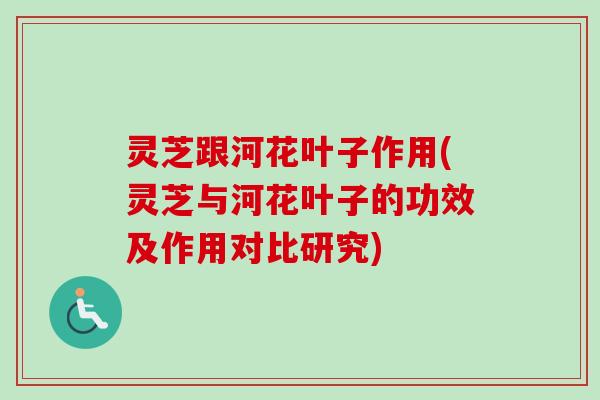 灵芝跟河花叶子作用(灵芝与河花叶子的功效及作用对比研究)-第1张图片-卓越灵芝孢子粉 灵芝跟河花叶子作用(灵芝与河花叶子的功效及作用对比研究)-第1张图片-卓越灵芝孢子粉