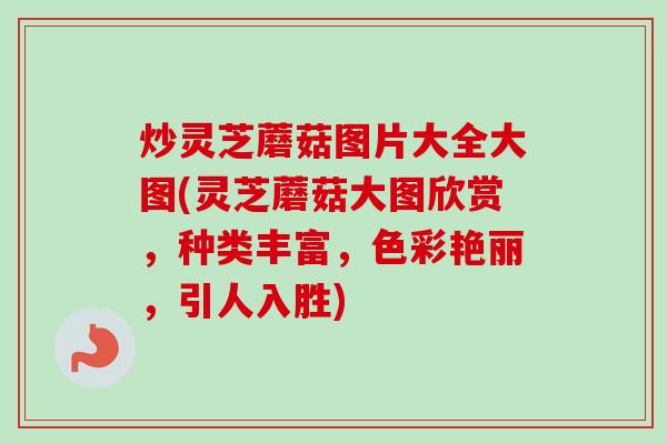 炒灵芝蘑菇图片大全大图(灵芝蘑菇大图欣赏,种类丰富,色彩艳丽,引人入胜)-第1张图片-卓越灵芝孢子粉 炒灵芝蘑菇图片大全大图(灵芝蘑菇大图欣赏,种类丰富,色彩艳丽,引人入胜)-第1张图片-卓越灵芝孢子粉