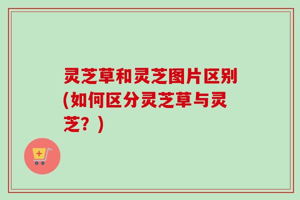灵芝草和灵芝图片区别(如何区分灵芝草与灵芝?)-第1张图片-卓越灵芝孢子粉 灵芝草和灵芝图片区别(如何区分灵芝草与灵芝?)-第1张图片-卓越灵芝孢子粉