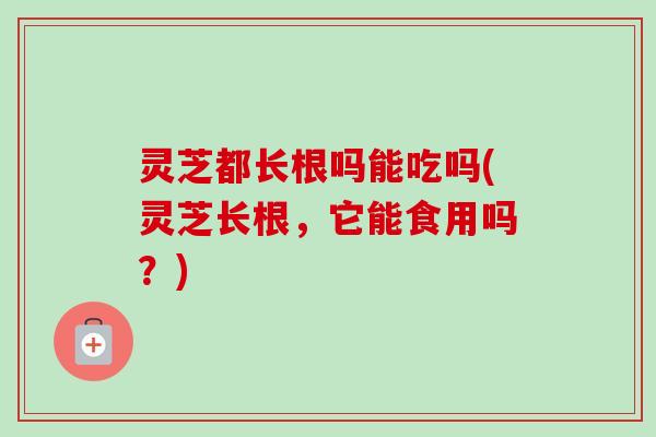 灵芝都长根吗能吃吗(灵芝长根,它能食用吗?)-第1张图片-卓越灵芝孢子粉 灵芝都长根吗能吃吗(灵芝长根,它能食用吗?)-第1张图片-卓越灵芝孢子粉
