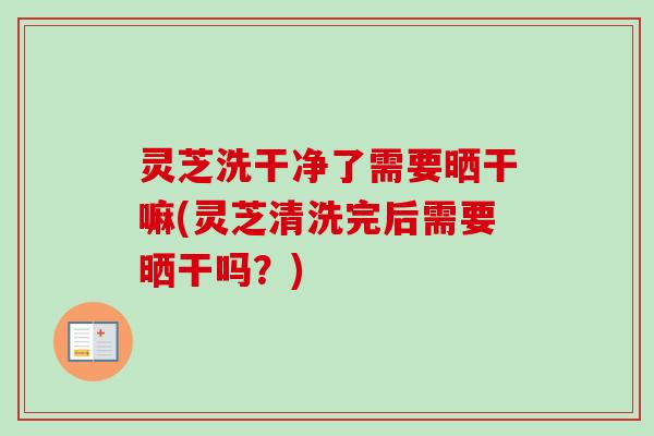 灵芝洗干净了需要晒干嘛(灵芝清洗完后需要晒干吗?)-第1张图片-卓越灵芝孢子粉 灵芝洗干净了需要晒干嘛(灵芝清洗完后需要晒干吗?)-第1张图片-卓越灵芝孢子粉