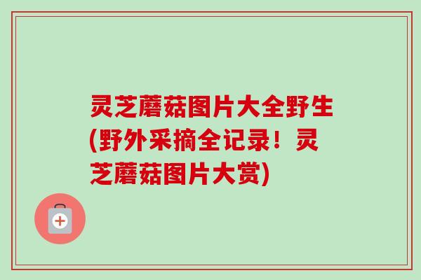 灵芝蘑菇图片大全野生(野外采摘全记录!灵芝蘑菇图片大赏)-第1张图片-卓越灵芝孢子粉 灵芝蘑菇图片大全野生(野外采摘全记录!灵芝蘑菇图片大赏)-第1张图片-卓越灵芝孢子粉