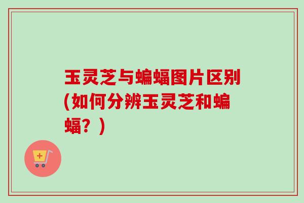 玉灵芝与蝙蝠图片区别(如何分辨玉灵芝和蝙蝠?)-第1张图片-卓越灵芝孢子粉 玉灵芝与蝙蝠图片区别(如何分辨玉灵芝和蝙蝠?)-第1张图片-卓越灵芝孢子粉