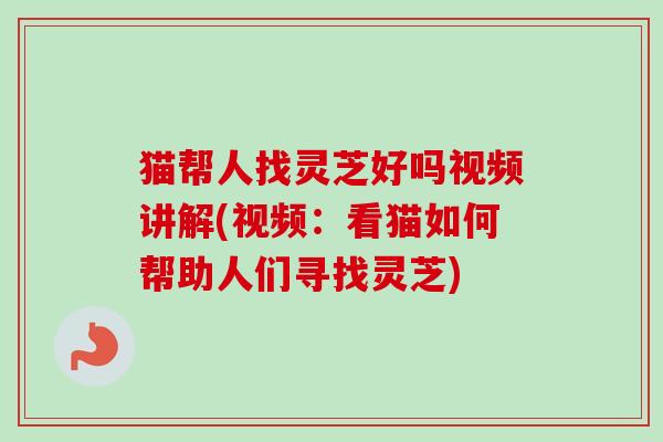猫帮人找灵芝好吗视频讲解(视频：看猫如何帮助人们寻找灵芝)-第1张图片-卓越灵芝孢子粉