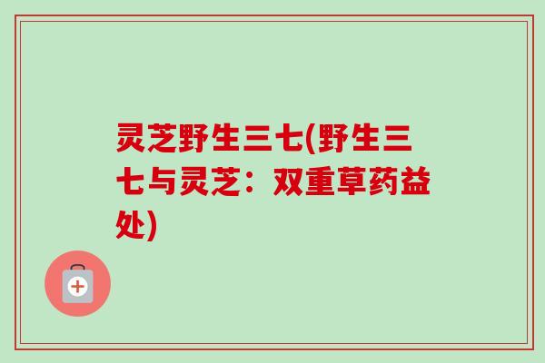 灵芝野生三七(野生三七与灵芝:双重草药益处)-第1张图片-卓越灵芝孢子粉 灵芝野生三七(野生三七与灵芝:双重草药益处)-第1张图片-卓越灵芝孢子粉