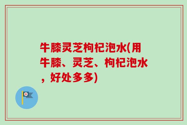 牛膝灵芝枸杞泡水(用牛膝、灵芝、枸杞泡水,好处多多)-第1张图片-卓越灵芝孢子粉 牛膝灵芝枸杞泡水(用牛膝、灵芝、枸杞泡水,好处多多)-第1张图片-卓越灵芝孢子粉