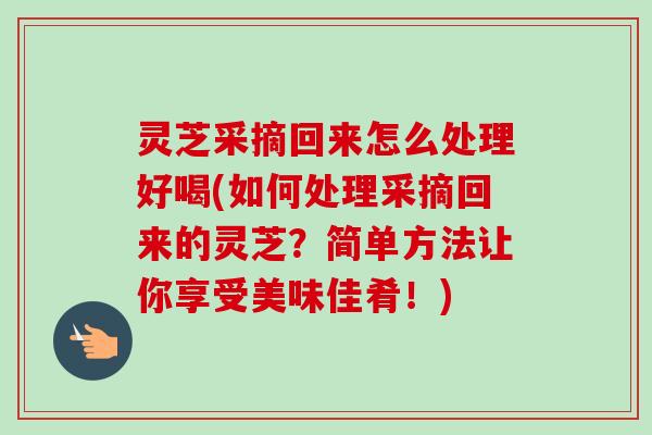 灵芝采摘回来怎么处理好喝(如何处理采摘回来的灵芝?简单方法让你享受美味佳肴!)-第1张图片-卓越灵芝孢子粉 灵芝采摘回来怎么处理好喝(如何处理采摘回来的灵芝?简单方法让你享受美味佳肴!)-第1张图片-卓越灵芝孢子粉