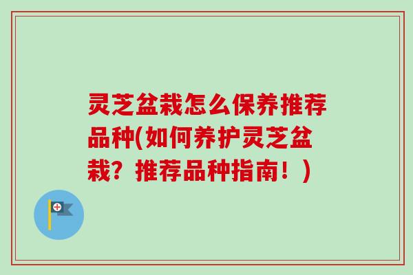 灵芝盆栽怎么保养推荐品种(如何养护灵芝盆栽?推荐品种指南!)-第1张图片-卓越灵芝孢子粉 灵芝盆栽怎么保养推荐品种(如何养护灵芝盆栽?推荐品种指南!)-第1张图片-卓越灵芝孢子粉