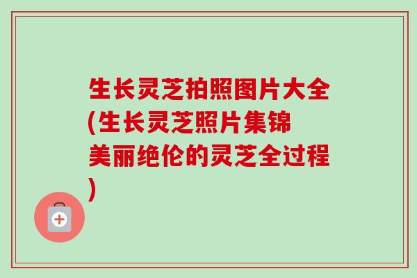 生长灵芝拍照图片大全(生长灵芝照片集锦 美丽绝伦的灵芝全过程)-第1张图片-卓越灵芝孢子粉 生长灵芝拍照图片大全(生长灵芝照片集锦 美丽绝伦的灵芝全过程)-第1张图片-卓越灵芝孢子粉