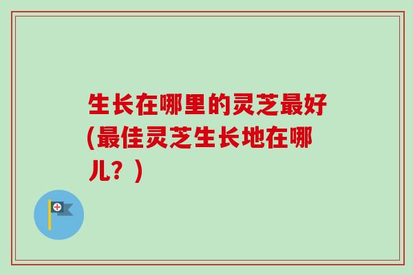生长在哪里的灵芝最好(最佳灵芝生长地在哪儿?)-第1张图片-卓越灵芝孢子粉 生长在哪里的灵芝最好(最佳灵芝生长地在哪儿?)-第1张图片-卓越灵芝孢子粉