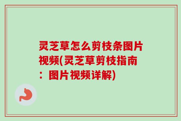 灵芝草怎么剪枝条图片视频(灵芝草剪枝指南:图片视频详解)-第1张图片-卓越灵芝孢子粉 灵芝草怎么剪枝条图片视频(灵芝草剪枝指南:图片视频详解)-第1张图片-卓越灵芝孢子粉