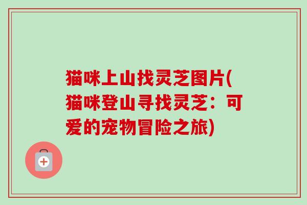 猫咪上山找灵芝图片(猫咪登山寻找灵芝：可爱的宠物冒险之旅)-第1张图片-卓越灵芝孢子粉
