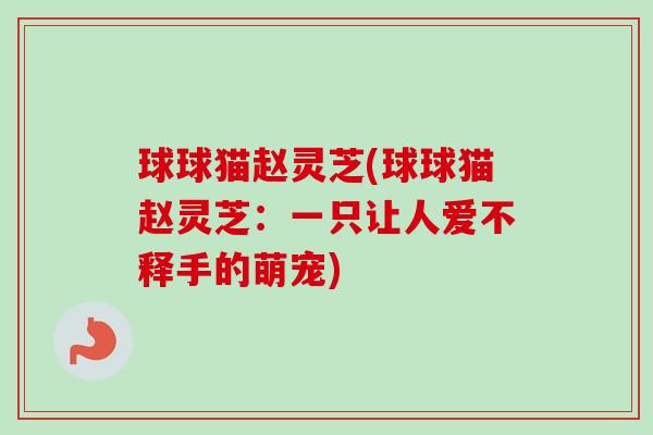 球球猫赵灵芝(球球猫赵灵芝:一只让人爱不释手的萌宠)-第1张图片-卓越灵芝孢子粉 球球猫赵灵芝(球球猫赵灵芝:一只让人爱不释手的萌宠)-第1张图片-卓越灵芝孢子粉