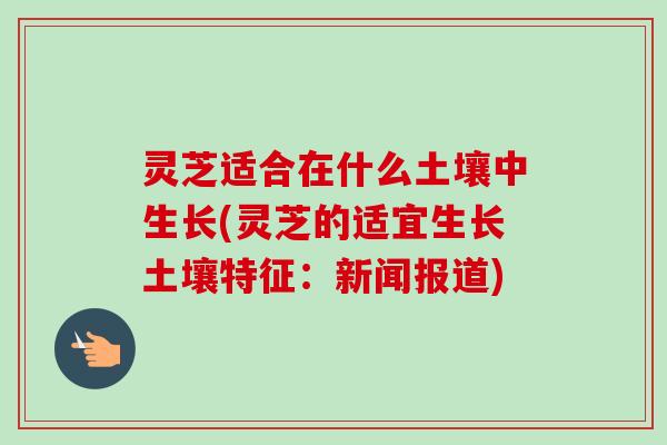 灵芝适合在什么土壤中生长(灵芝的适宜生长土壤特征:新闻报道)-第1张图片-卓越灵芝孢子粉 灵芝适合在什么土壤中生长(灵芝的适宜生长土壤特征:新闻报道)-第1张图片-卓越灵芝孢子粉