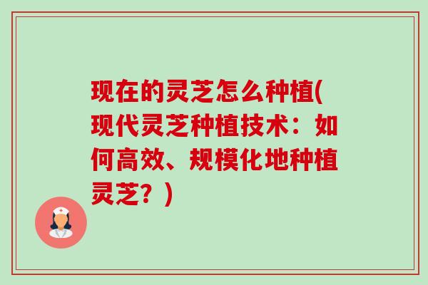 现在的灵芝怎么种植(现代灵芝种植技术:如何高效、规模化地种植灵芝?)-第1张图片-卓越灵芝孢子粉 现在的灵芝怎么种植(现代灵芝种植技术:如何高效、规模化地种植灵芝?)-第1张图片-卓越灵芝孢子粉