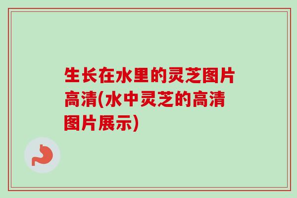 生长在水里的灵芝图片高清(水中灵芝的高清图片展示)-第1张图片-卓越灵芝孢子粉
