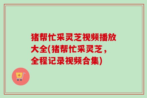 猪帮忙采灵芝视频播放大全(猪帮忙采灵芝，全程记录视频合集)-第1张图片-卓越灵芝孢子粉