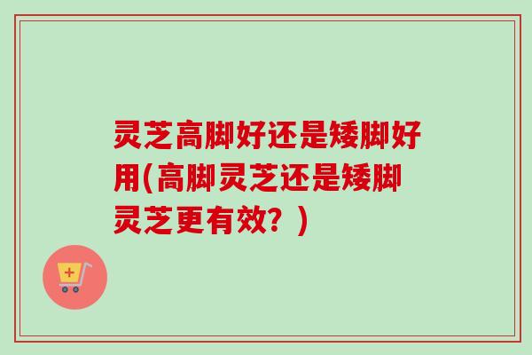 灵芝高脚好还是矮脚好用(高脚灵芝还是矮脚灵芝更有效?)-第1张图片-卓越灵芝孢子粉 灵芝高脚好还是矮脚好用(高脚灵芝还是矮脚灵芝更有效?)-第1张图片-卓越灵芝孢子粉