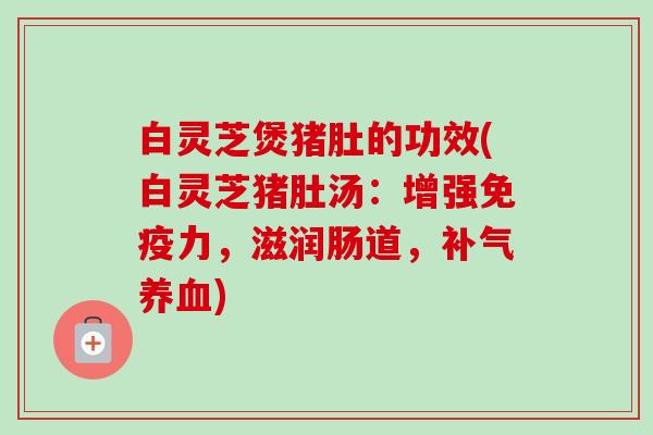白灵芝煲猪肚的功效(白灵芝猪肚汤:增强免疫力,滋润肠道,补气养血)-第1张图片-卓越灵芝孢子粉 白灵芝煲猪肚的功效(白灵芝猪肚汤:增强免疫力,滋润肠道,补气养血)-第1张图片-卓越灵芝孢子粉