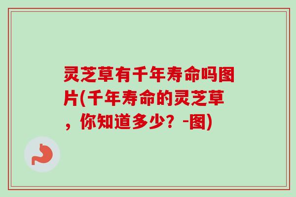 灵芝草有千年寿命吗图片(千年寿命的灵芝草，你知道多少？-图)-第1张图片-卓越灵芝孢子粉