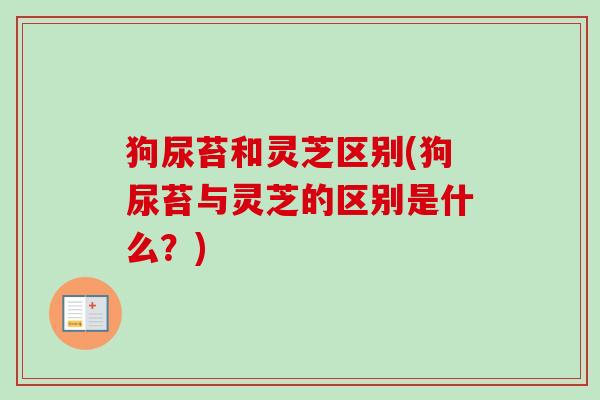 狗尿苔和灵芝区别(狗尿苔与灵芝的区别是什么？)-第1张图片-卓越灵芝孢子粉