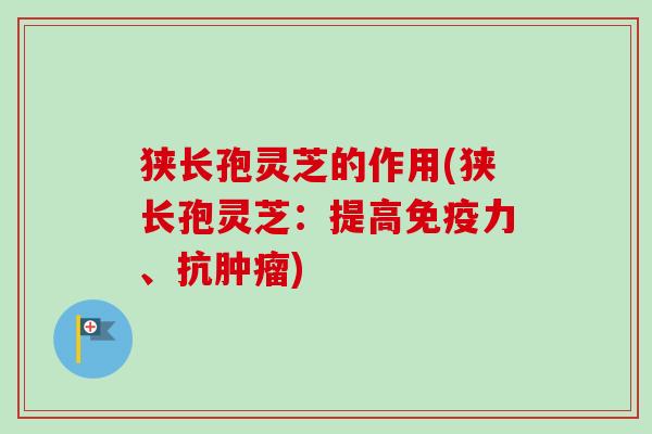 狭长孢灵芝的作用(狭长孢灵芝:提高免疫力、抗肿瘤)-第1张图片-卓越灵芝孢子粉 狭长孢灵芝的作用(狭长孢灵芝:提高免疫力、抗肿瘤)-第1张图片-卓越灵芝孢子粉