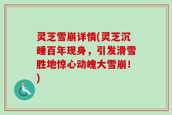 灵芝雪崩详情(灵芝沉睡百年现身,引发滑雪胜地惊心动魄大雪崩!)-第1张图片-卓越灵芝孢子粉 灵芝雪崩详情(灵芝沉睡百年现身,引发滑雪胜地惊心动魄大雪崩!)-第1张图片-卓越灵芝孢子粉