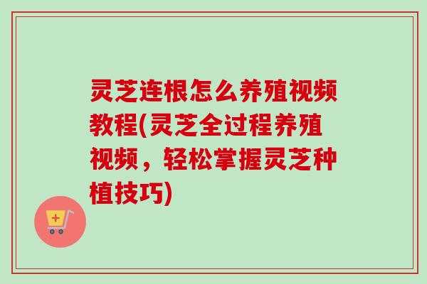 灵芝连根怎么养殖视频教程(灵芝全过程养殖视频,轻松掌握灵芝种植技巧)-第1张图片-卓越灵芝孢子粉 灵芝连根怎么养殖视频教程(灵芝全过程养殖视频,轻松掌握灵芝种植技巧)-第1张图片-卓越灵芝孢子粉