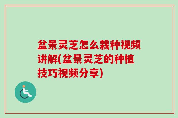 盆景灵芝怎么栽种视频讲解(盆景灵芝的种植技巧视频分享)-第1张图片-卓越灵芝孢子粉